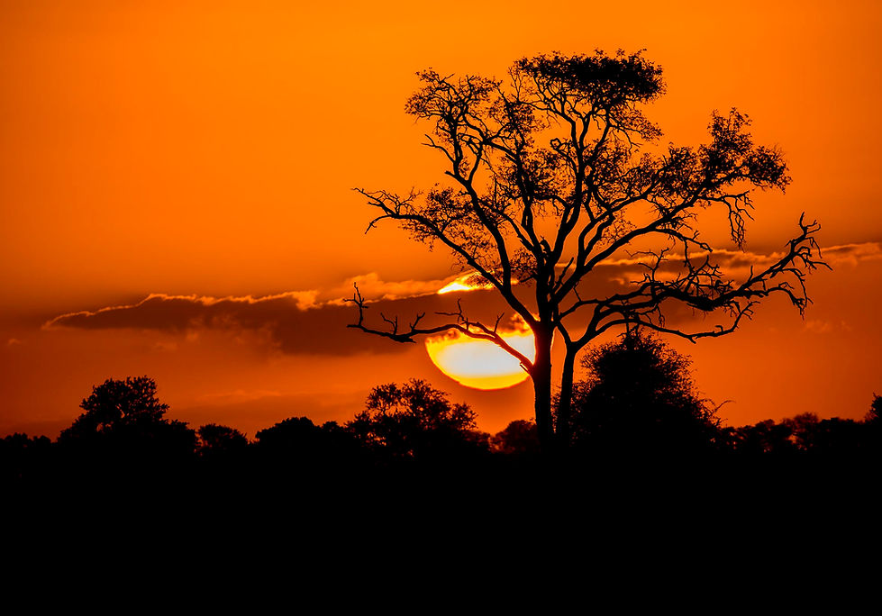 Sunset1.jpg