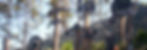 Birpai-totems-1200x410.jpg