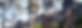 Birpai-totems-1200x410.jpg