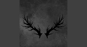 70295973_2998570800214168_5739014890954162176_n (2).jpg