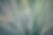 Blades of Grass