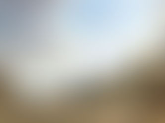 Eduard Gaertner: Unter den Linden