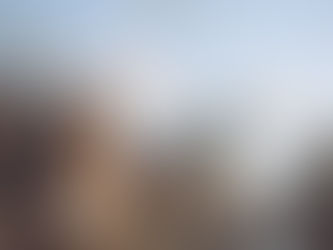 Cornelis Springer: Rotterdam