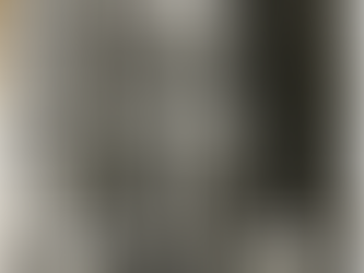 Burkeanen Xi Jinping