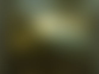 Alessandro Magnasco: Paesaggio con pastori