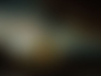 Rembrandt van Rijn: The Stone Bridge