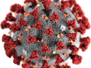 Västs problem med pandemin