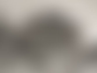 Henri Bréançon: Sofia University