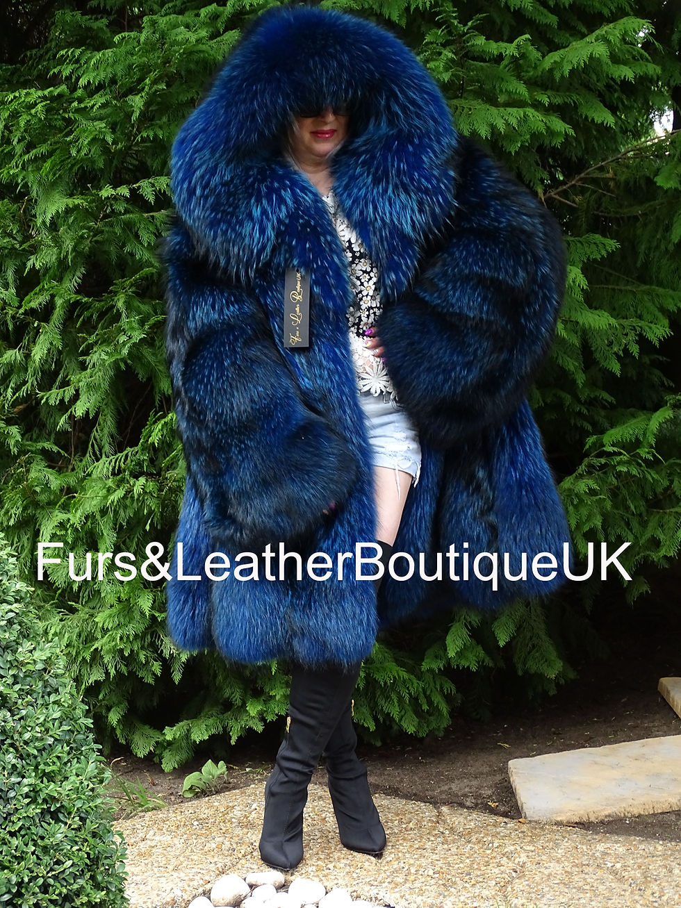 縮圖：🔥EXCLUSIVE SAGA FINN RACCOON FUR COAT DYED IN ROYAL BLUE HOODED