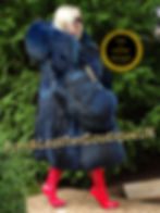 Miniature : 🔥NEW SAGA SKIN TO SKIN FULL PELT HEAVY ROYAL BLUE FINN RACCOON FUR PARKA COAT