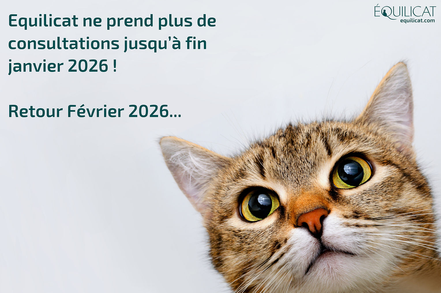 large Pause consultations & vacances.jpg