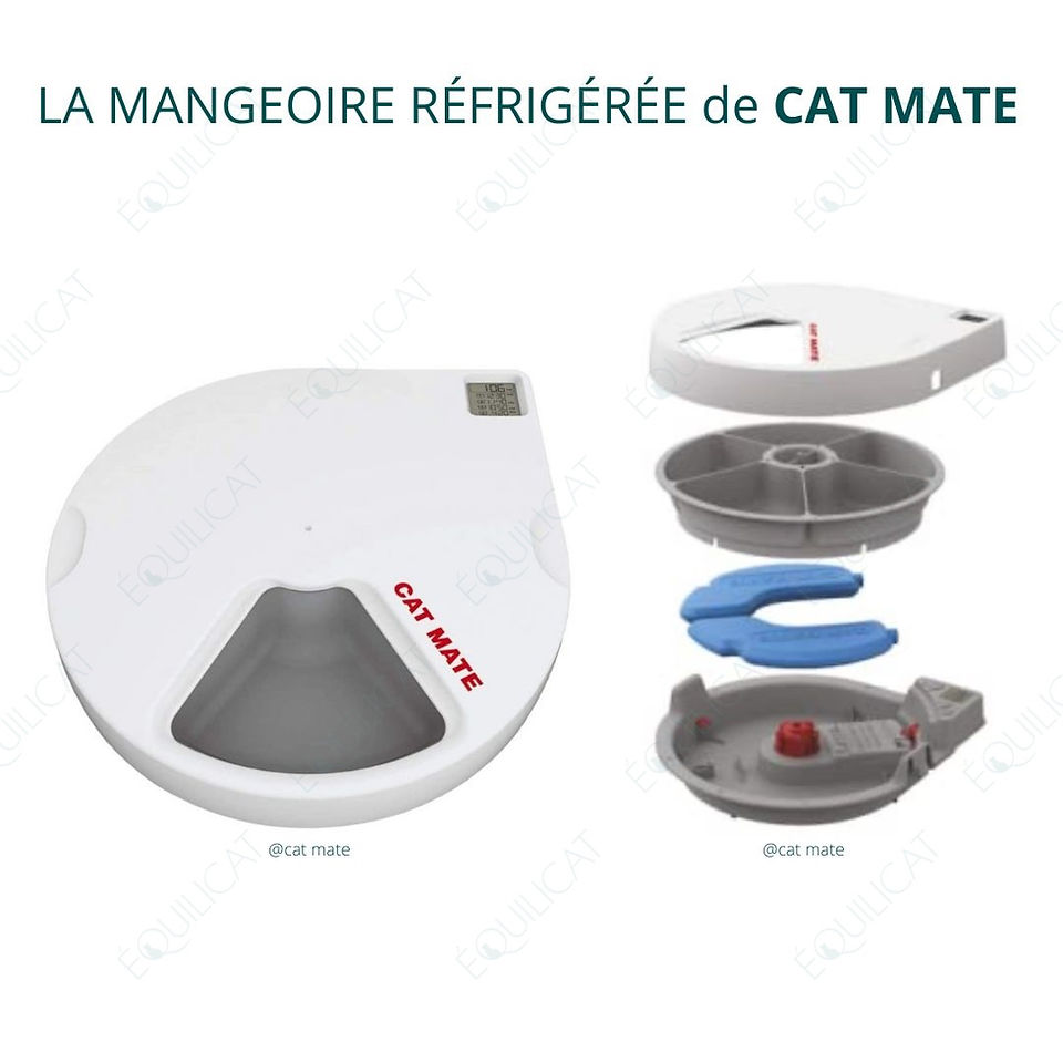 Mangeoire Catmate