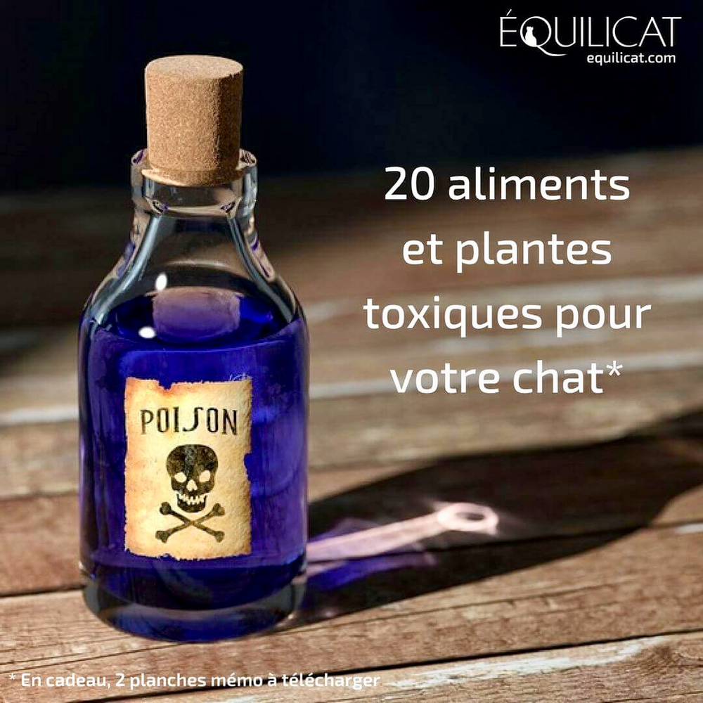 Aliments et plantes toxiques pour le