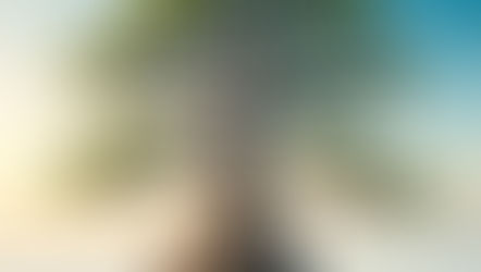 Family Constellations: Healing the Root of Relationship Patterns