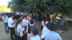 WP_20160723_19_35_04_Pro