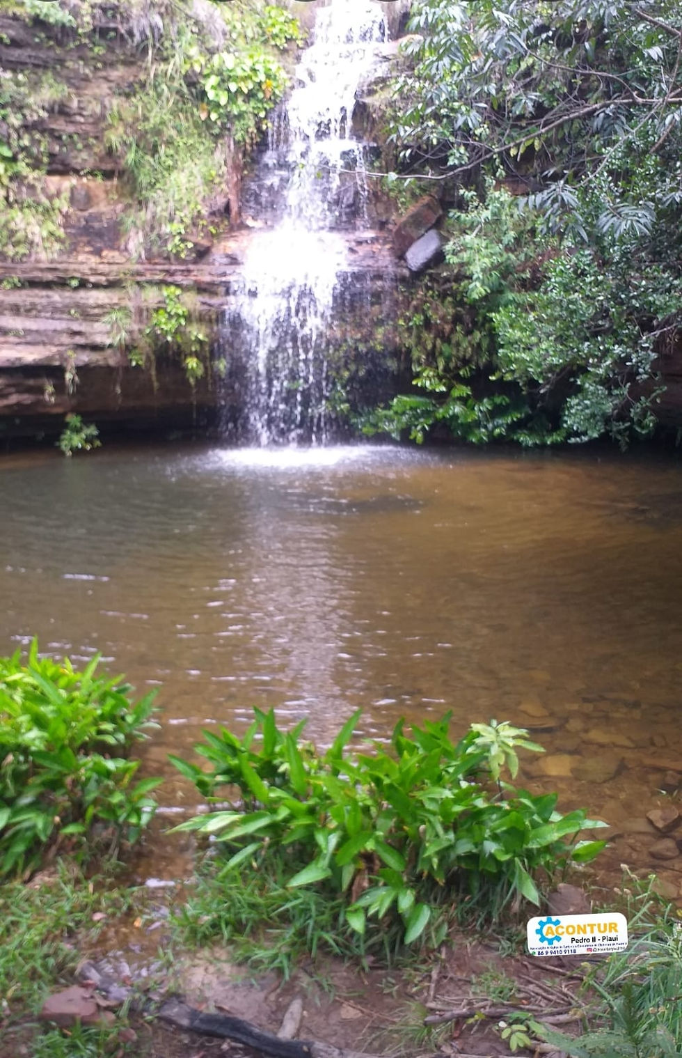 Miniatura: CIRCUITO SAMAMBAIA - DUAS CACHOEIRAS E PISCINA NATURAL -PEDRO II