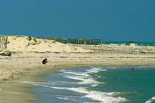 PRAIAS DE LUIS CORREIA macapa.jpeg