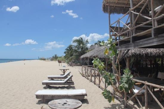 Thumbnail: PASSEIO BARRA GRANDE + CAJUEIRO DA PRAIA