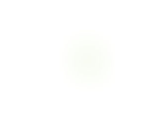 Login/Signup