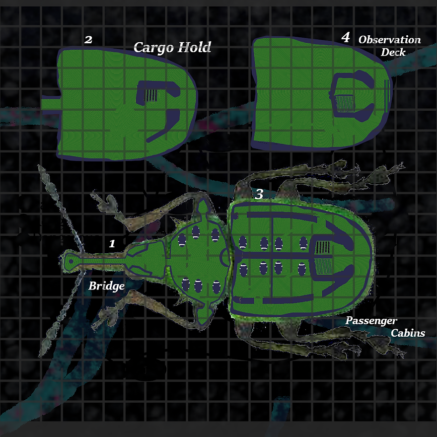 beetle inside 1