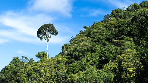 parque-serra-do-conduru-rui-rezende-03.png