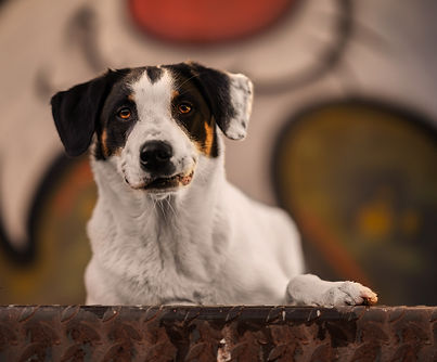 2 - Portraitfoto2.jpg