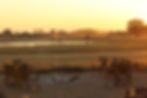 Sunset safari scene: wildlife at watering hole, campfire seating
