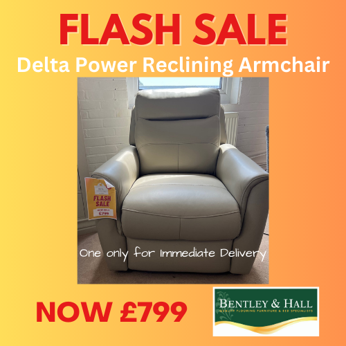 Delta Power Reclingin Armchair.png