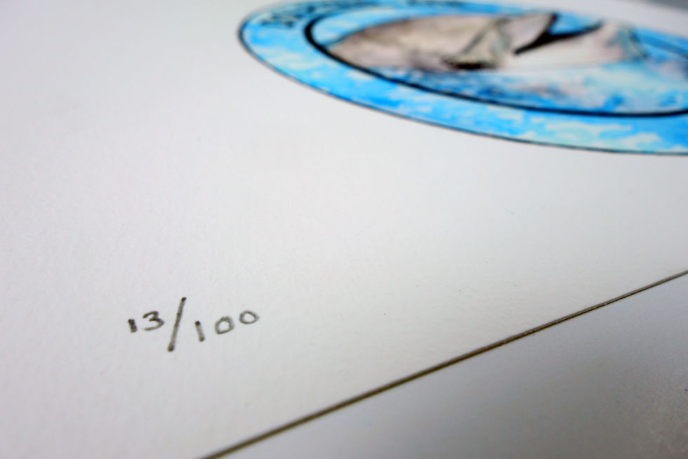 Thumbnail: Dolphins Are Bad People - Limited edition giclee print
