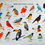 Thumbnail: Bird Spotting Guide A2 Poster