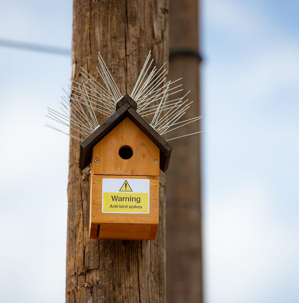 ANTI-BIRD BIRD HOUSE