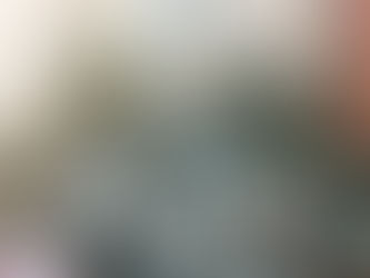 What Will My Blogs Be About?