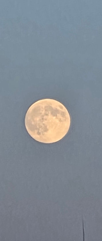 Leuchtender Vollmond am tiefblauen Abendhimmel als Symbol für Intuition, innere Klarheit und Selbstwahrnehmung
