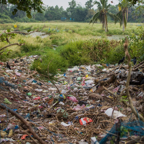 Garbage in the Mountains