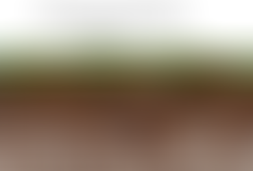 The Future of Geotechnical Engineering: Harnessing the Potential of Seismic Surveys.