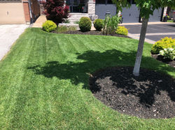 Lawn and Garden Services