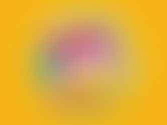 Santa Pod Bug Jam 34