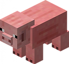 635653898944997364_edited.png