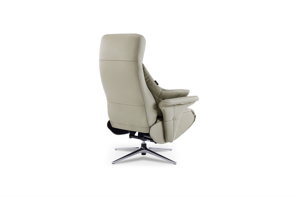 縮圖：EN-2331｜全牛皮電動單椅