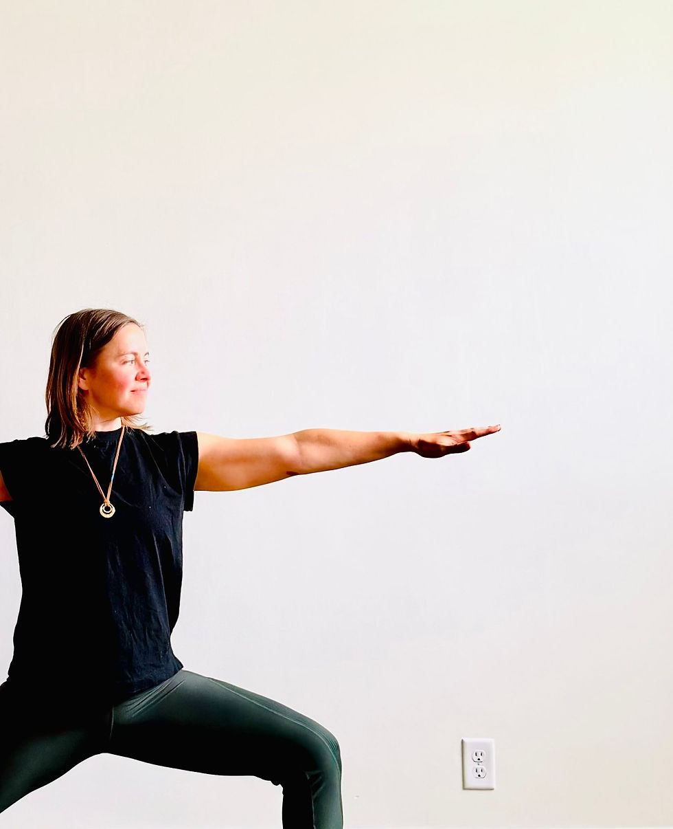 The Elements of Practice Series | Internal Stability | Balance Postures & the Mechanics of Stability
