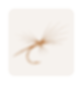 iconos-16.png