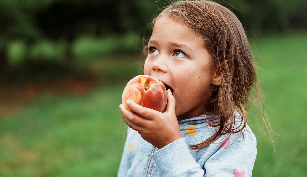 COMO COMO-banner-23.png