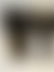 Trofeos para los Premios Literarios Ciudad de Benicarló