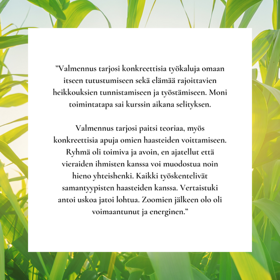 Asiakaspalaute Lempeyden Voima
