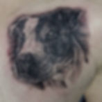 Black and grey dog portrait tattoo on skin