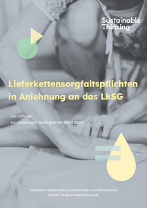 Leitfaden LkSG.png