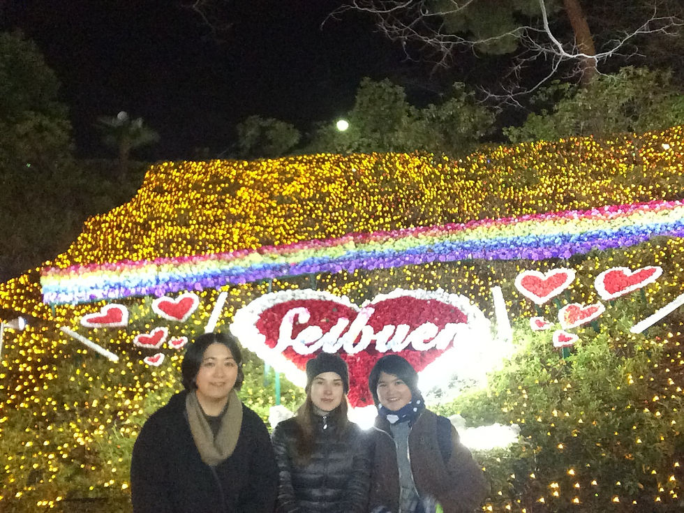 イルミネーション (35)