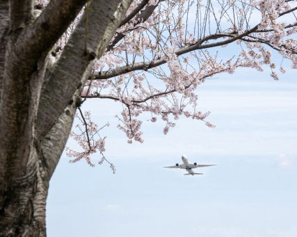 物を大切にしようと思った出来事
