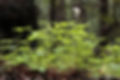 398d0832-1bc8-4279-a02a-e76a33216f62.png