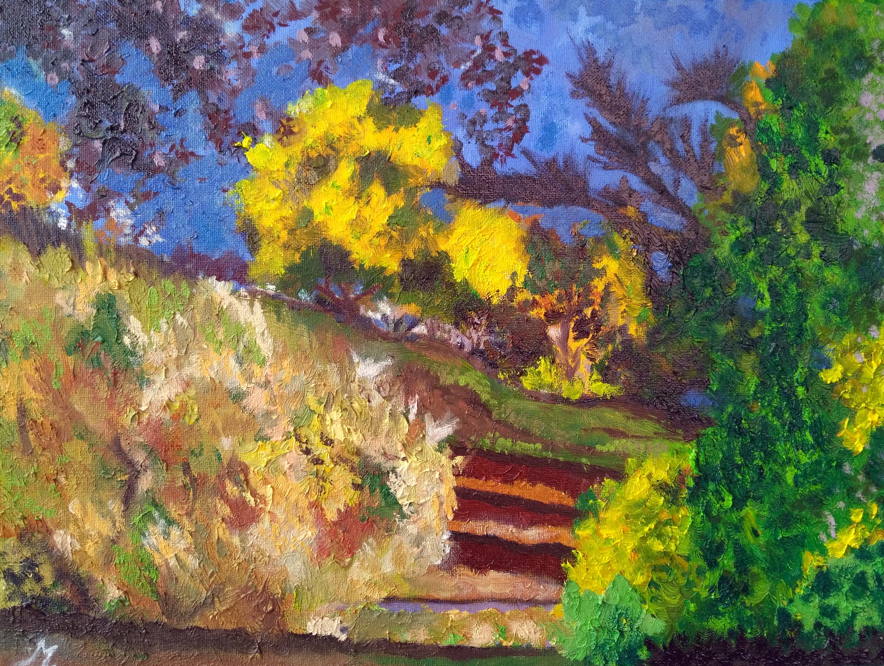 paysage